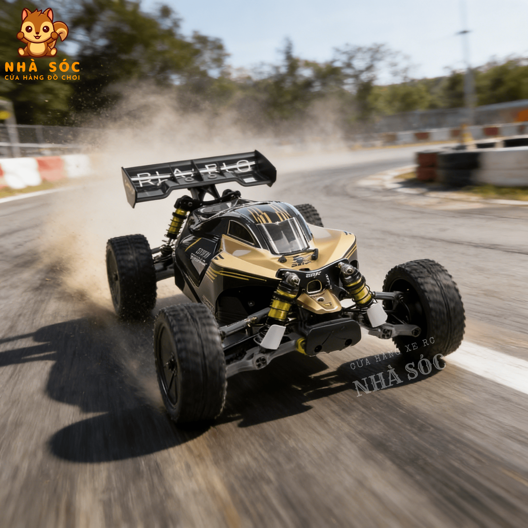 Rlaarlo SBK10 Xe Đua Điều Khiển Từ Xa Phiên Bản Carbon Fiber, Tỉ Lệ 1/10, Không Chổi Than Brushless - Ảnh 10